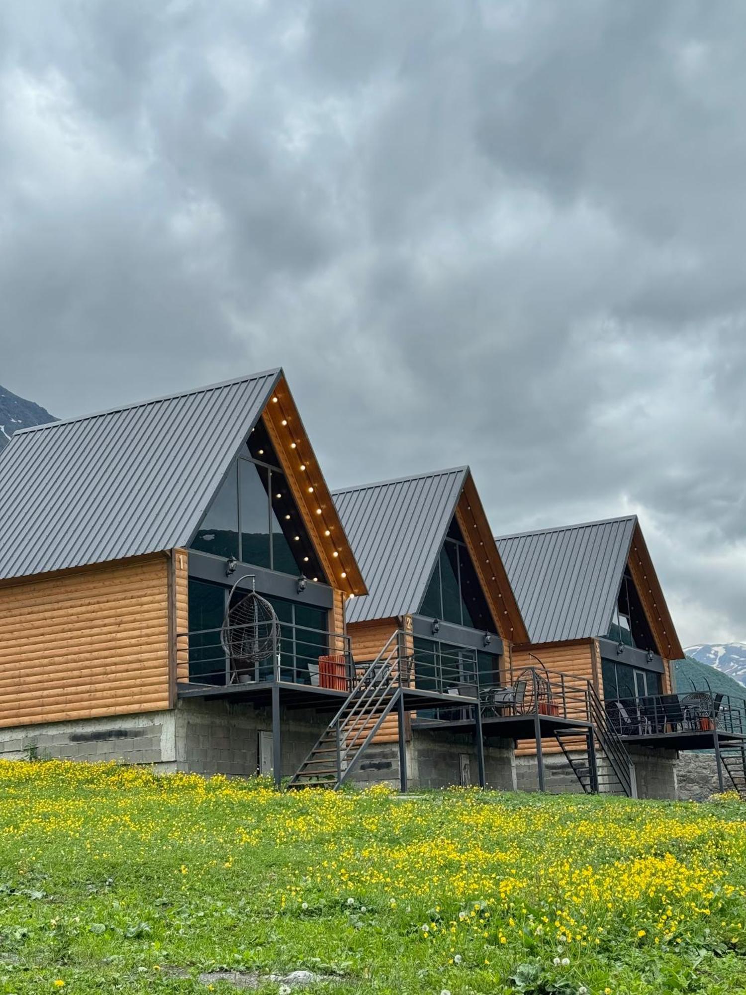 Kazbegi Story Villa Ngoại thất bức ảnh